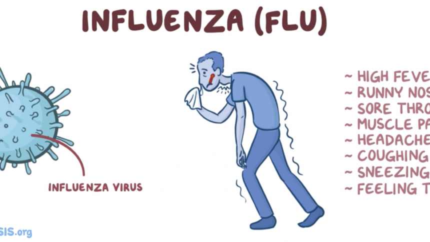 Are You Suffering From Flu