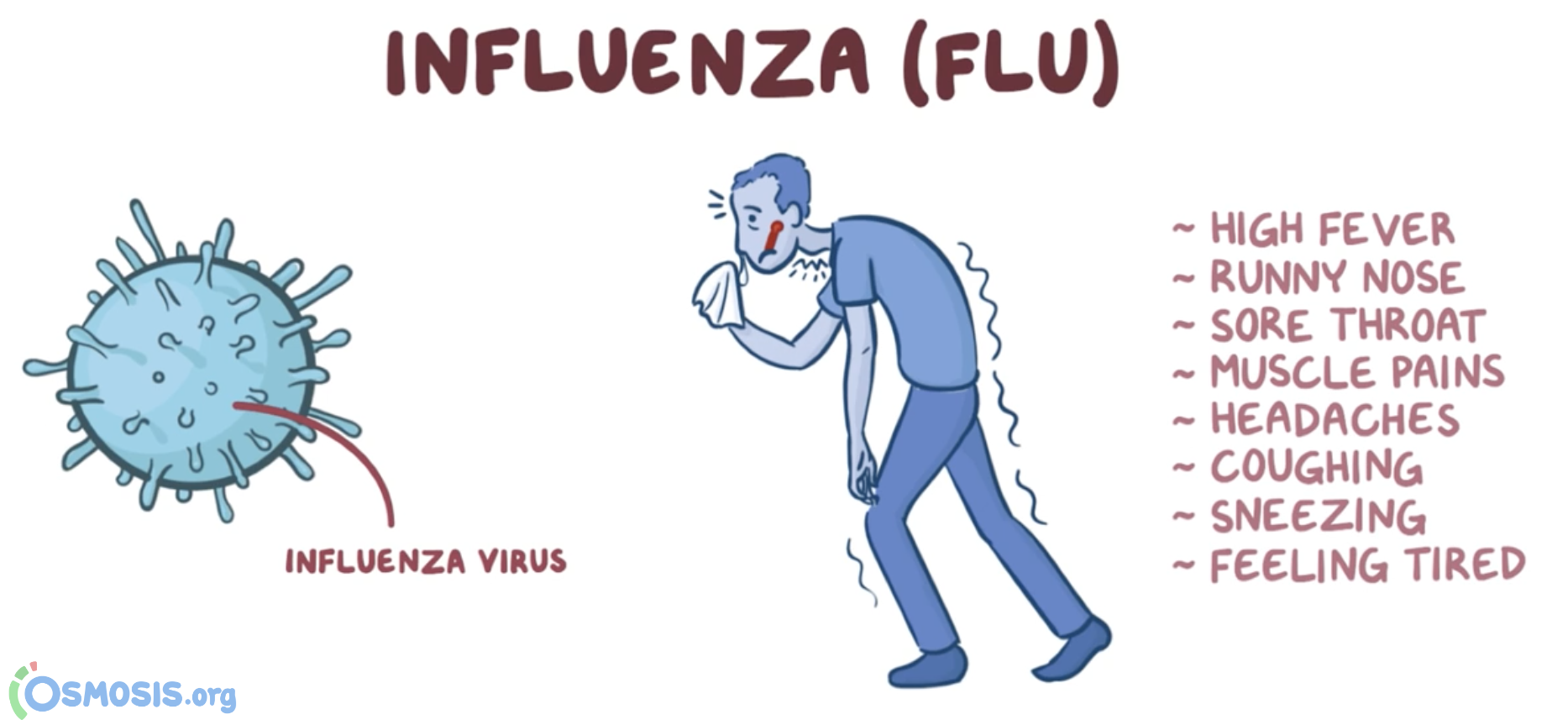 Are You Suffering From Flu